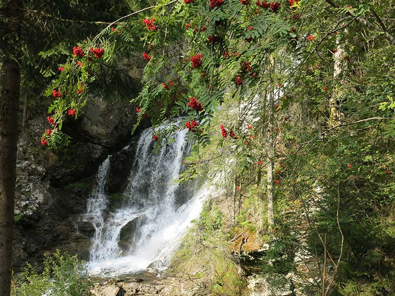 Greifenberg